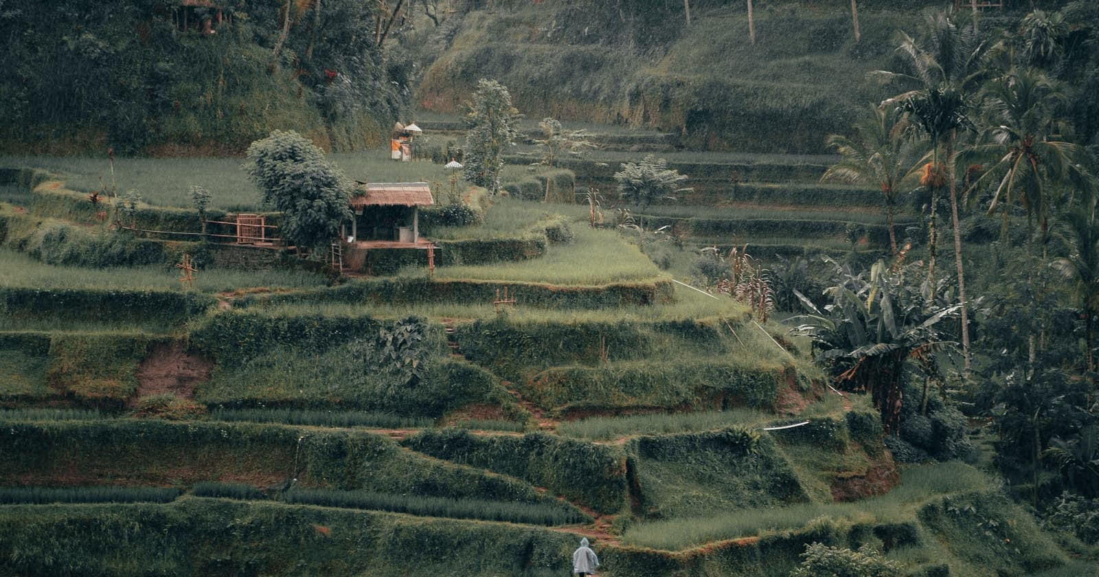 Indonesia Tourist eVisa 30 vs 60 Days: Which Length Should You Choose? - Indonesia Travel News